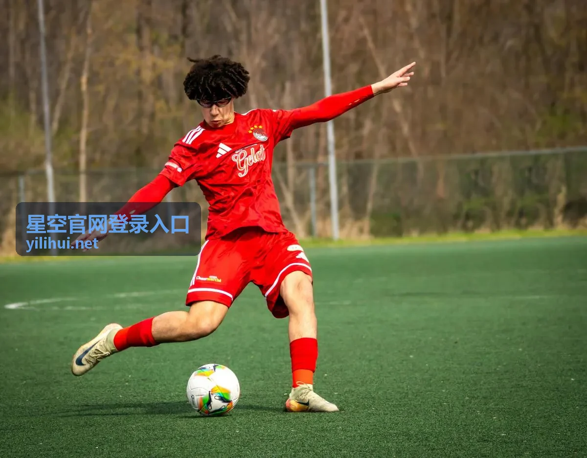 星空官网登录入口账号名称与绑定方式的核对示意