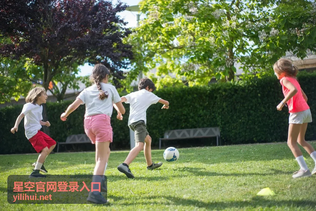 星空官网登录入口验证码与验证方式的说明画面