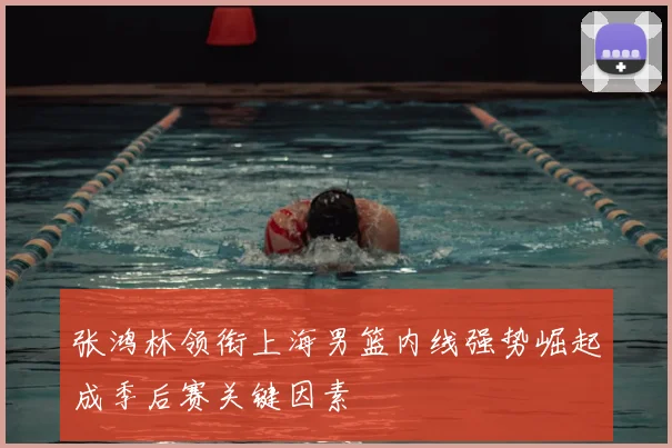 张鸿林领衔上海男篮内线强势崛起成季后赛关键因素