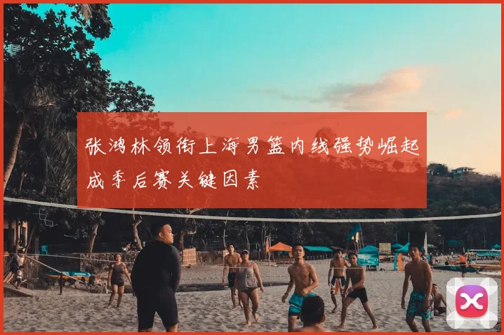张鸿林领衔上海男篮内线强势崛起成季后赛关键因素
